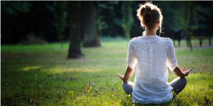 Read more about the article Ananda UK Meditation Course